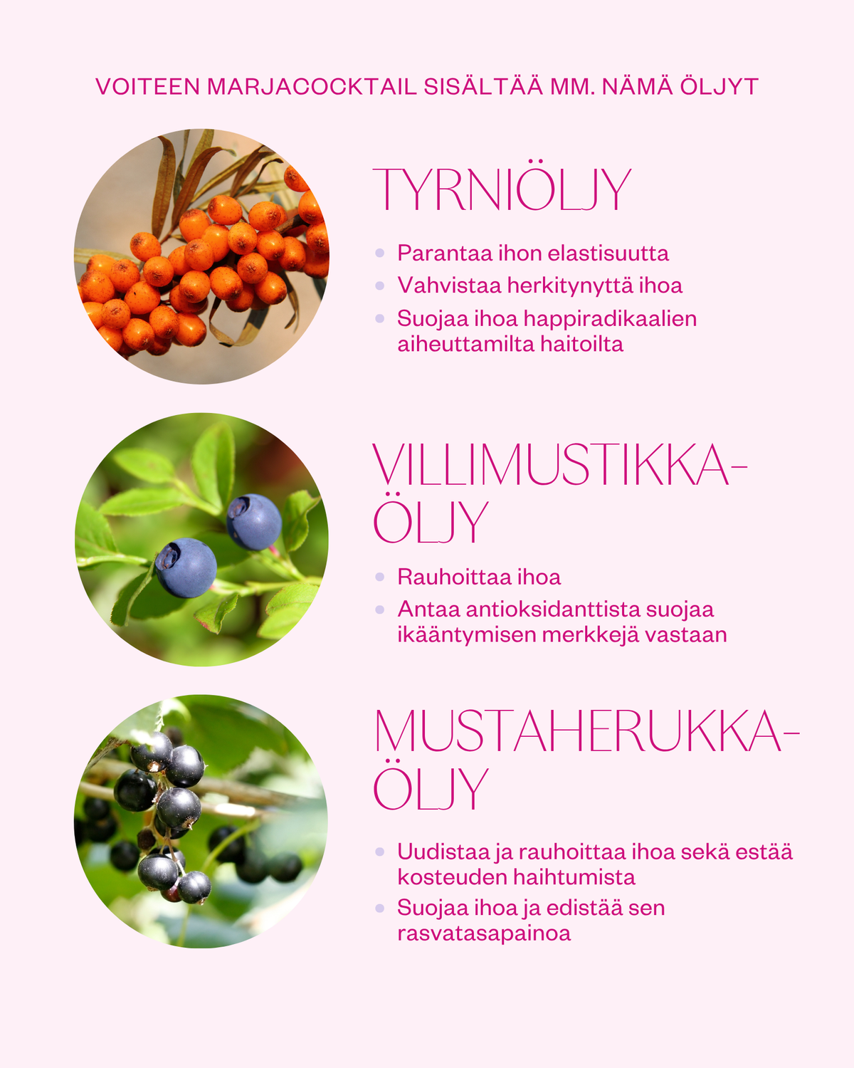 Arctic Beauty Cream kasvovoide kuivalle iholle