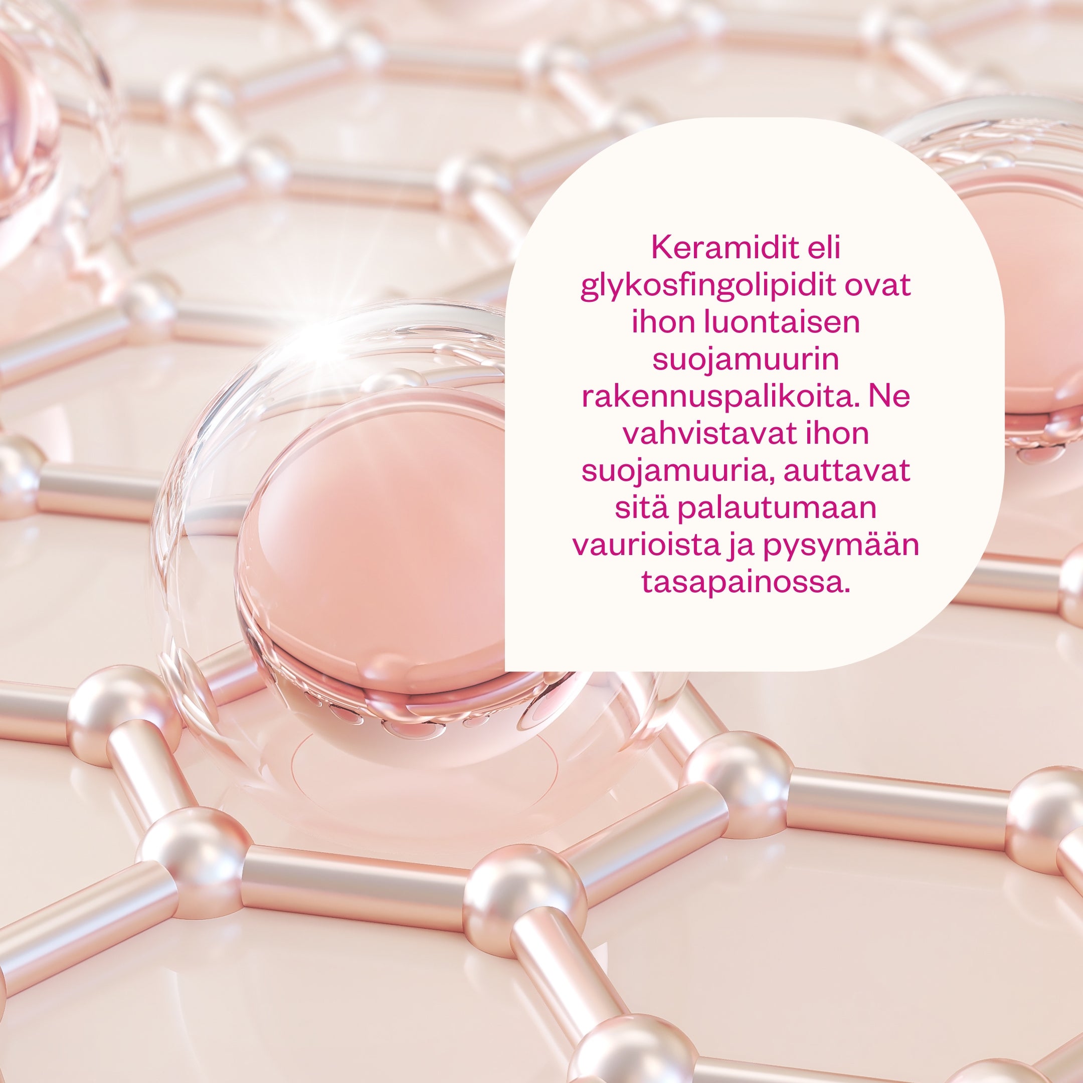 Ceramides & Probiotics herkän ihon hajusteeton ja korjaava kasvovoide